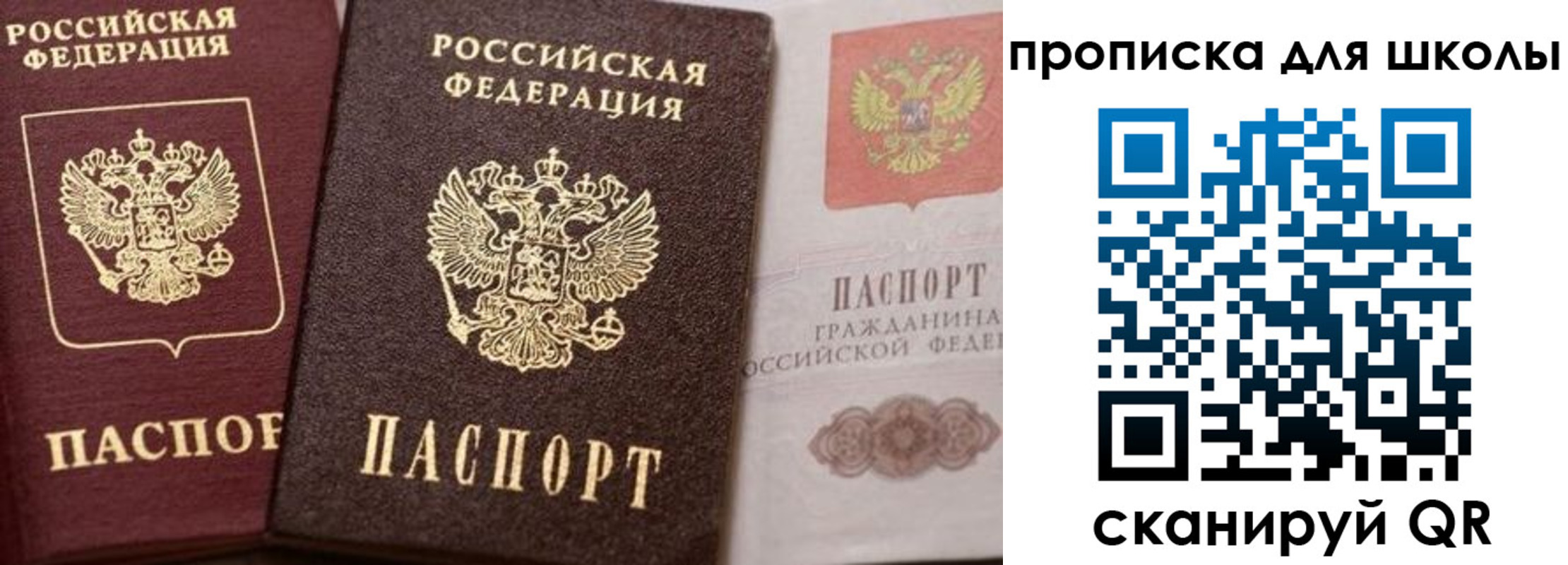 прописка законно в Видном